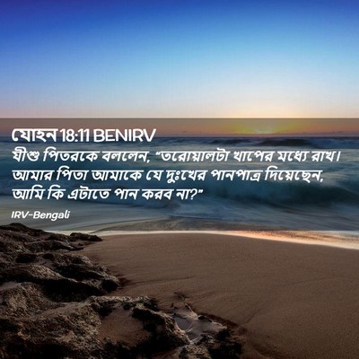 Picture 02 - যোহন 18:11 BENIRV - যীশু পিতরকে বললেন, - Bible Verse Picture