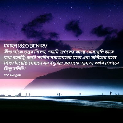 Picture 02 - যোহন 18:20 BENIRV - যীশু তাঁকে উত্তর - Bible Verse Picture
