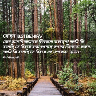 Picture 02 - যোহন 18:21 BENIRV - কেন আপনি আমাকে - Bible Verse Picture