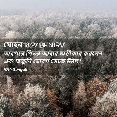 Picture 02 - যোহন 18:27 BENIRV - তারপরে পিতর আবার - Bible Verse Picture