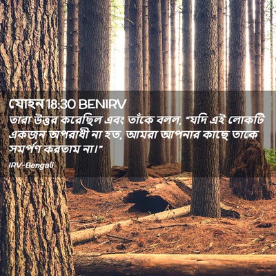 Picture 02 - যোহন 18:30 BENIRV - তারা উত্তর করেছিল - Bible Verse Picture