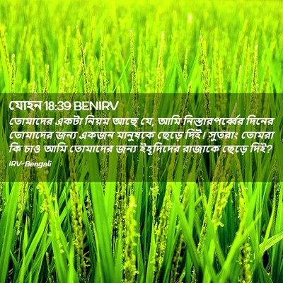 Picture 02 - যোহন 18:39 BENIRV - তোমাদের একটা - Bible Verse Picture