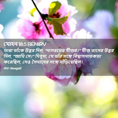 Picture 02 - যোহন 18:5 BENIRV - তারা তাঁকে উত্তর - Bible Verse Picture