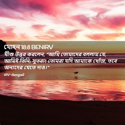 Picture 02 - যোহন 18:8 BENIRV - যীশু উত্তর করলেন, - Bible Verse Picture