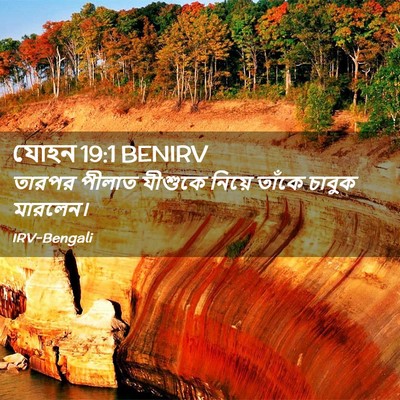 Picture 02 - যোহন 19:1 BENIRV - তারপর পীলাত - Bible Verse Picture