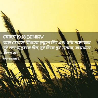Picture 02 - যোহন 19:18 BENIRV - তারা সেখানে - Bible Verse Picture