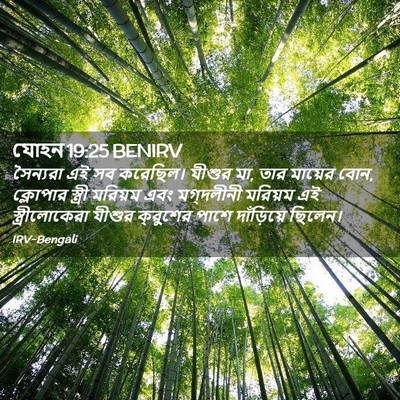 Picture 02 - যোহন 19:25 BENIRV - সৈন্যরা এই সব - Bible Verse Picture