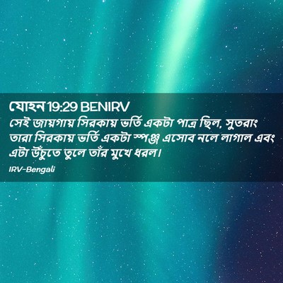 Picture 02 - যোহন 19:29 BENIRV - সেই জায়গায় - Bible Verse Picture