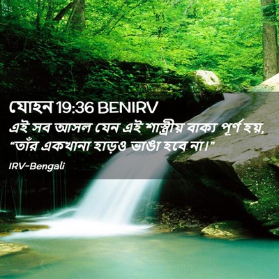 Picture 02 - যোহন 19:36 BENIRV - এই সব আসল যেন এই - Bible Verse Picture