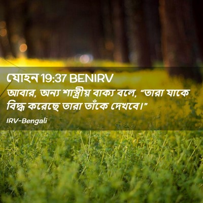 Picture 02 - যোহন 19:37 BENIRV - আবার, অন্য - Bible Verse Picture
