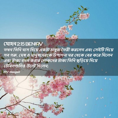 Picture 02 - যোহন 2:15 BENIRV - তখন তিনি ঘাস দিয়ে - Bible Verse Picture