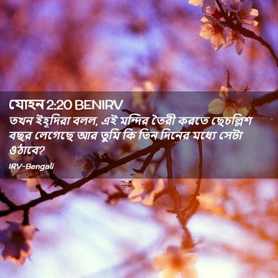 Picture 02 - যোহন 2:20 BENIRV - তখন ইহূদিরা বলল, এই - Bible Verse Picture