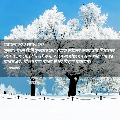 Picture 02 - যোহন 2:22 BENIRV - সুতরাং যখন তিনি - Bible Verse Picture