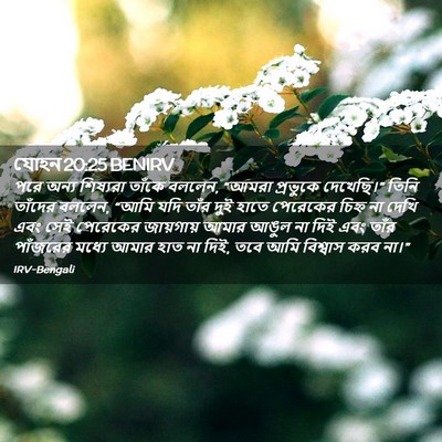 Picture 02 - যোহন 20:25 BENIRV - পরে অন্য শিষ্যরা - Bible Verse Picture