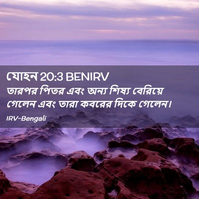 Picture 02 - যোহন 20:3 BENIRV - তারপর পিতর এবং - Bible Verse Picture