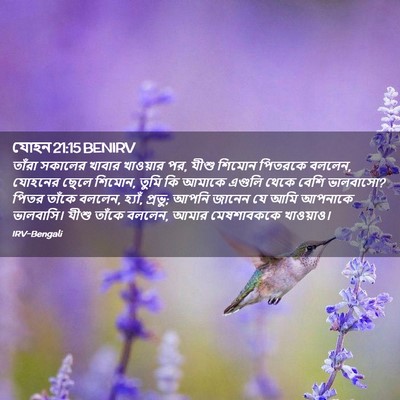 Picture 02 - যোহন 21:15 BENIRV - তাঁরা সকালের - Bible Verse Picture