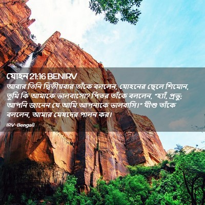 Picture 02 - যোহন 21:16 BENIRV - আবার তিনি - Bible Verse Picture