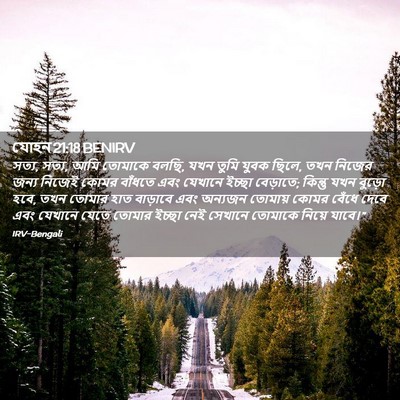 Picture 02 - যোহন 21:18 BENIRV - সত্য, সত্য, আমি - Bible Verse Picture