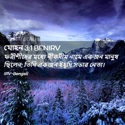 Picture 02 - যোহন 3:1 BENIRV - ফরীশীদের মধ্যে - Bible Verse Picture