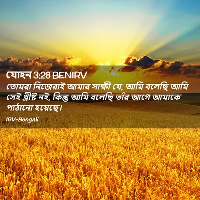 Picture 02 - যোহন 3:28 BENIRV - তোমরা নিজেরাই - Bible Verse Picture