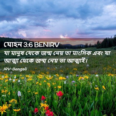 Picture 02 - যোহন 3:6 BENIRV - যা মানুষ থেকে জন্ম - Bible Verse Picture