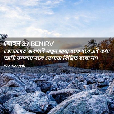 Picture 02 - যোহন 3:7 BENIRV - তোমাদের অবশ্যই - Bible Verse Picture