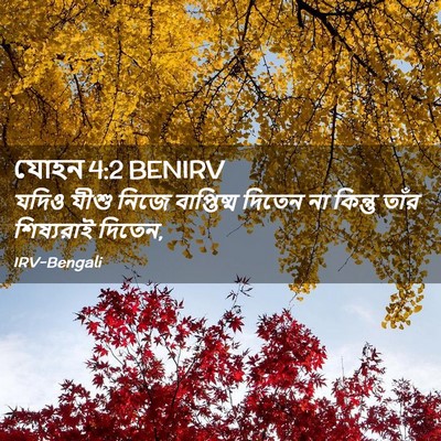 Picture 02 - যোহন 4:2 BENIRV - যদিও যীশু নিজে - Bible Verse Picture