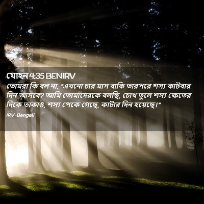 Picture 02 - যোহন 4:35 BENIRV - তোমরা কি বল না, - Bible Verse Picture