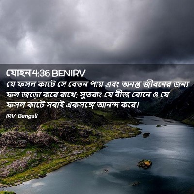 Picture 02 - যোহন 4:36 BENIRV - যে ফসল কাটে সে বেতন - Bible Verse Picture