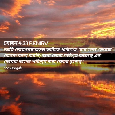 Picture 02 - যোহন 4:38 BENIRV - আমি তোমাদের ফসল - Bible Verse Picture