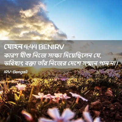 Picture 02 - যোহন 4:44 BENIRV - কারণ যীশু নিজে - Bible Verse Picture