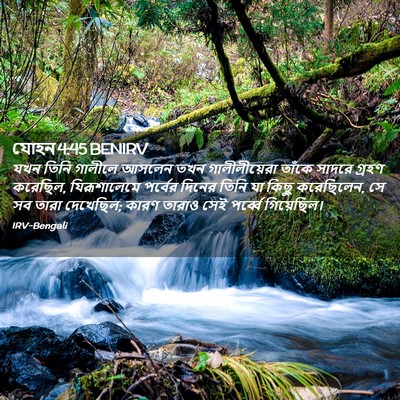 Picture 02 - যোহন 4:45 BENIRV - যখন তিনি গালীলে - Bible Verse Picture