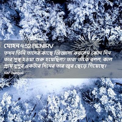 Picture 02 - যোহন 4:52 BENIRV - তখন তিনি তাদের - Bible Verse Picture