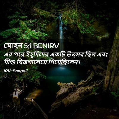 Picture 02 - যোহন 5:1 BENIRV - এর পরে ইহূদিদের - Bible Verse Picture