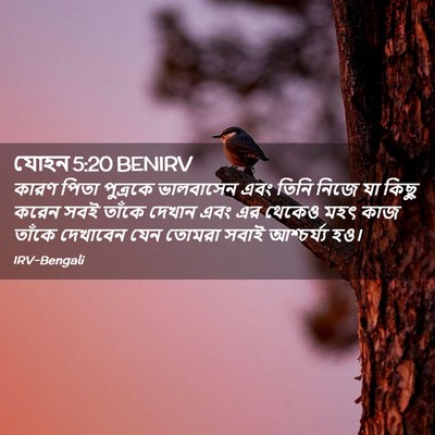 Picture 02 - যোহন 5:20 BENIRV - কারণ পিতা পুত্রকে - Bible Verse Picture
