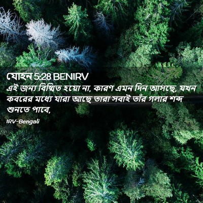Picture 02 - যোহন 5:28 BENIRV - এই জন্য বিষ্মিত - Bible Verse Picture