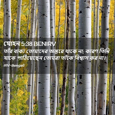 Picture 02 - যোহন 5:38 BENIRV - তাঁর বাক্য - Bible Verse Picture