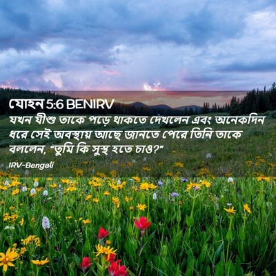 Picture 02 - যোহন 5:6 BENIRV - যখন যীশু তাকে পড়ে - Bible Verse Picture