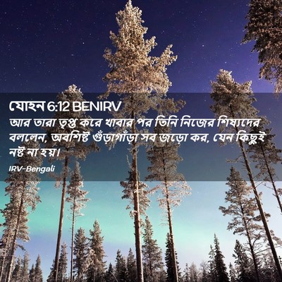 Picture 02 - যোহন 6:12 BENIRV - আর তারা তৃপ্ত করে - Bible Verse Picture