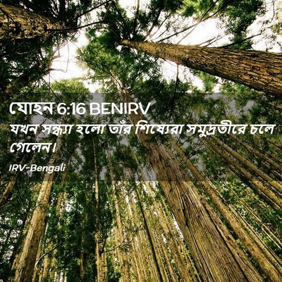Picture 02 - যোহন 6:16 BENIRV - যখন সন্ধ্যা হলো - Bible Verse Picture