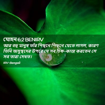 Picture 02 - যোহন 6:2 BENIRV - আর বহু মানুষ তাঁর - Bible Verse Picture