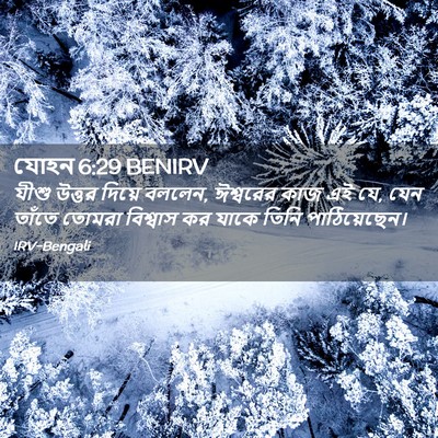 Picture 02 - যোহন 6:29 BENIRV - যীশু উত্তর দিয়ে - Bible Verse Picture