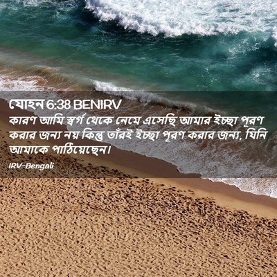 Picture 02 - যোহন 6:38 BENIRV - কারণ আমি স্বর্গ - Bible Verse Picture