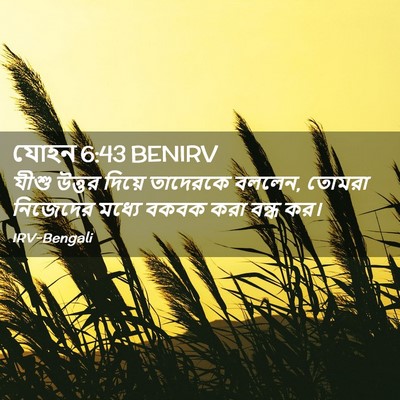 Picture 02 - যোহন 6:43 BENIRV - যীশু উত্তর দিয়ে - Bible Verse Picture
