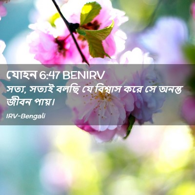 Picture 02 - যোহন 6:47 BENIRV - সত্য, সত্যই বলছি যে - Bible Verse Picture