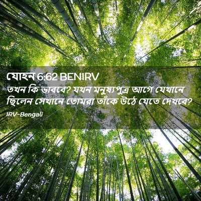 Picture 02 - যোহন 6:62 BENIRV - তখন কি ভাববে? যখন - Bible Verse Picture