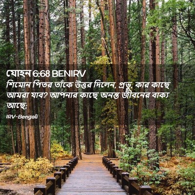 Picture 02 - যোহন 6:68 BENIRV - শিমোন পিতর তাঁকে - Bible Verse Picture