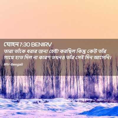 Picture 02 - যোহন 7:30 BENIRV - তারা তাঁকে ধরার - Bible Verse Picture