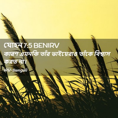 Picture 02 - যোহন 7:5 BENIRV - কারণ এমনকি তাঁর - Bible Verse Picture