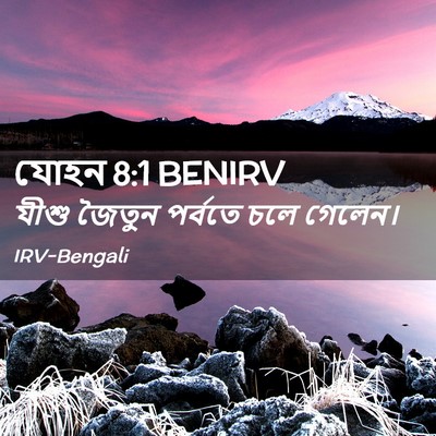 Picture 02 - যোহন 8:1 BENIRV - যীশু জৈতুন পর্বতে - Bible Verse Picture